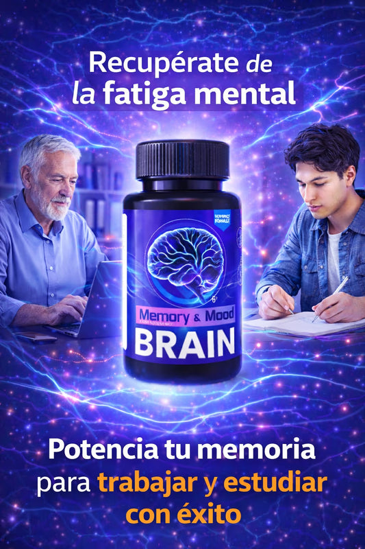 Memory Mood Brain
